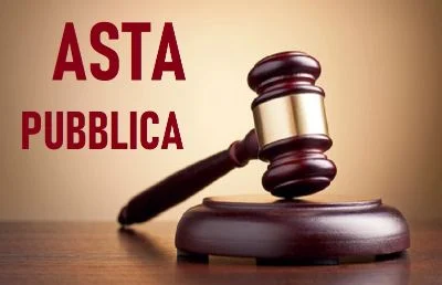 Avviso Pubblico - ALIENAZIONE DI MEZZO BATTIPISTA DI PROPRIETA&#39 DEL COMUNE DI BELLINO