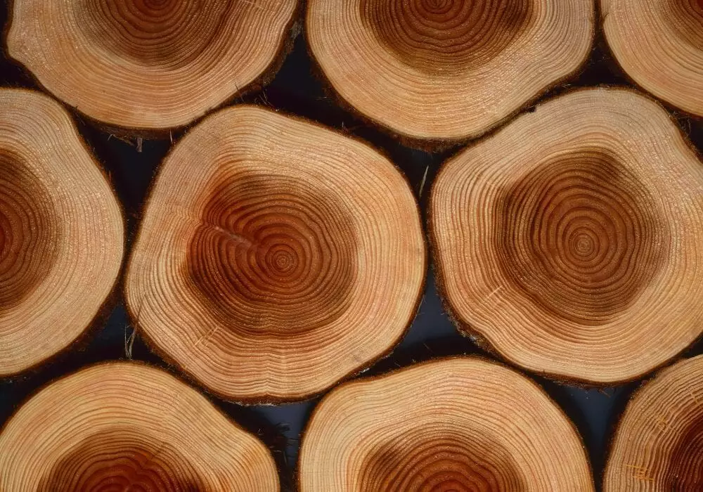 legno